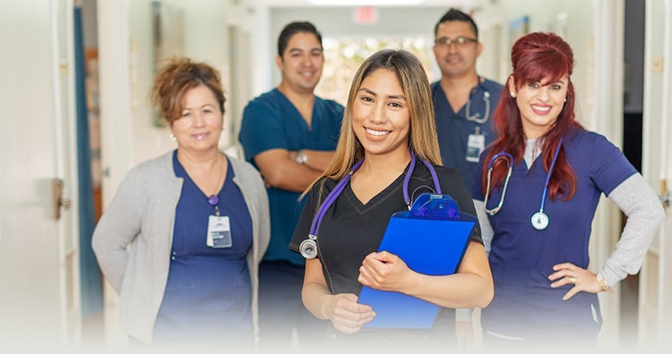 donna-mobile-750x395